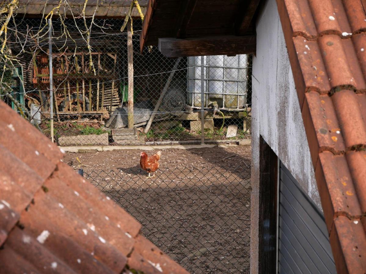 Ferienwohnung Obere Alm Oberkirch  Luaran gambar